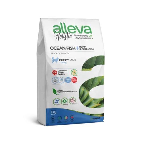 Alleva Holistik Balık Tahılsız Maxi Yavru Köpek Maması 2 Kg